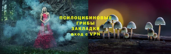 не бодяженный Абаза