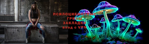 трава Абдулино