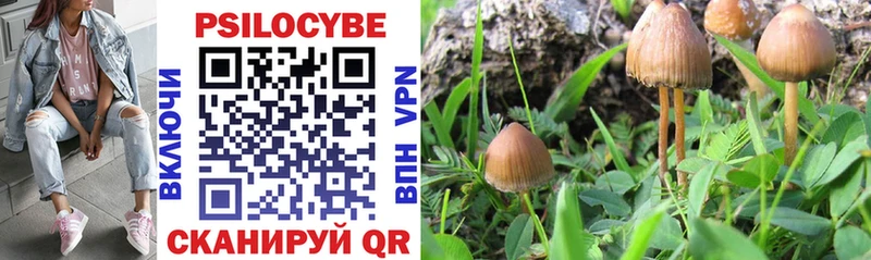 OMG вход  Липецк  Галлюциногенные грибы ЛСД 