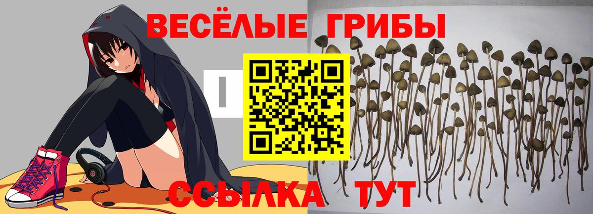 Галлюциногенные грибы ЛСД  Вход с VPN  Липецк 